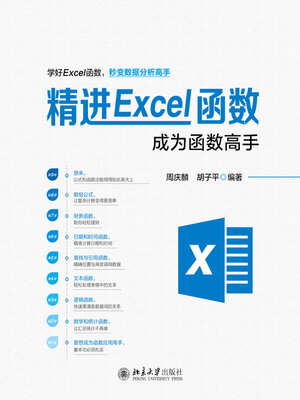 cover image of 精进Excel函数
